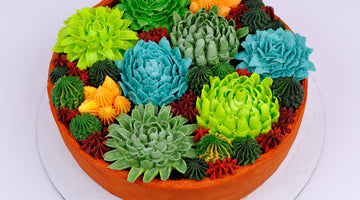 Piping A Succulent for the Succulent Flower Pot Cake